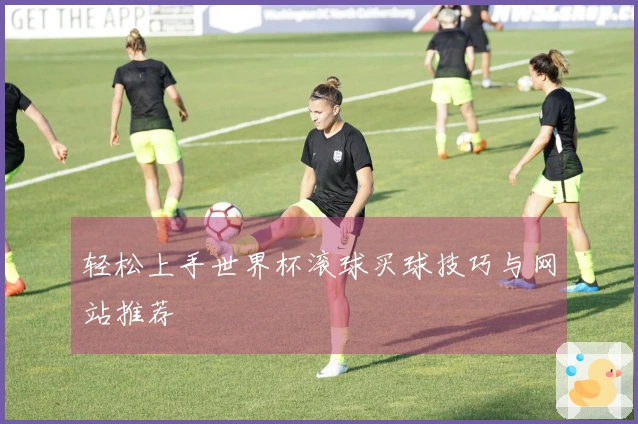 轻松上手世界杯滚球买球技巧与网站推荐