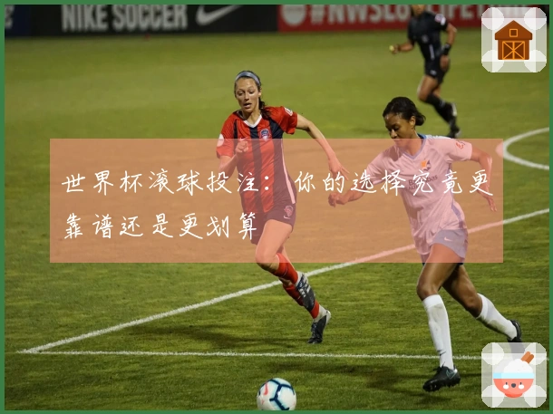 世界杯滚球投注：你的选择究竟更靠谱还是更划算